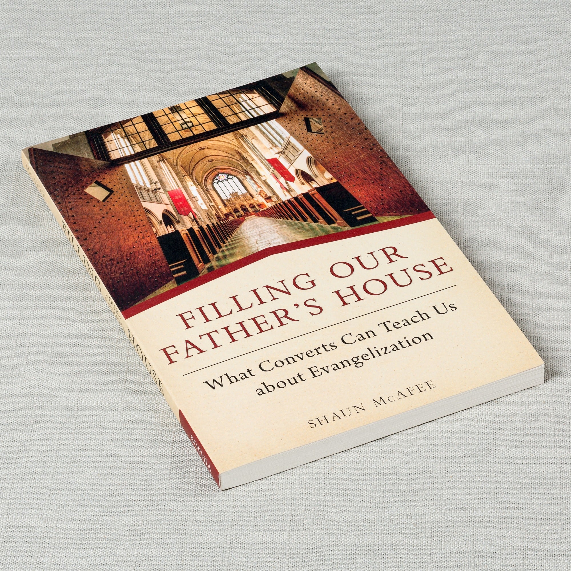 Filling Our Father's House: What Converts Can Teach Us about Evangelization - Image 2