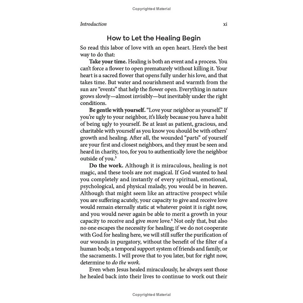 Love Heals: A Biblical Plan to Restore Our Emotions, Memories, Souls, and Bodies - Image 6