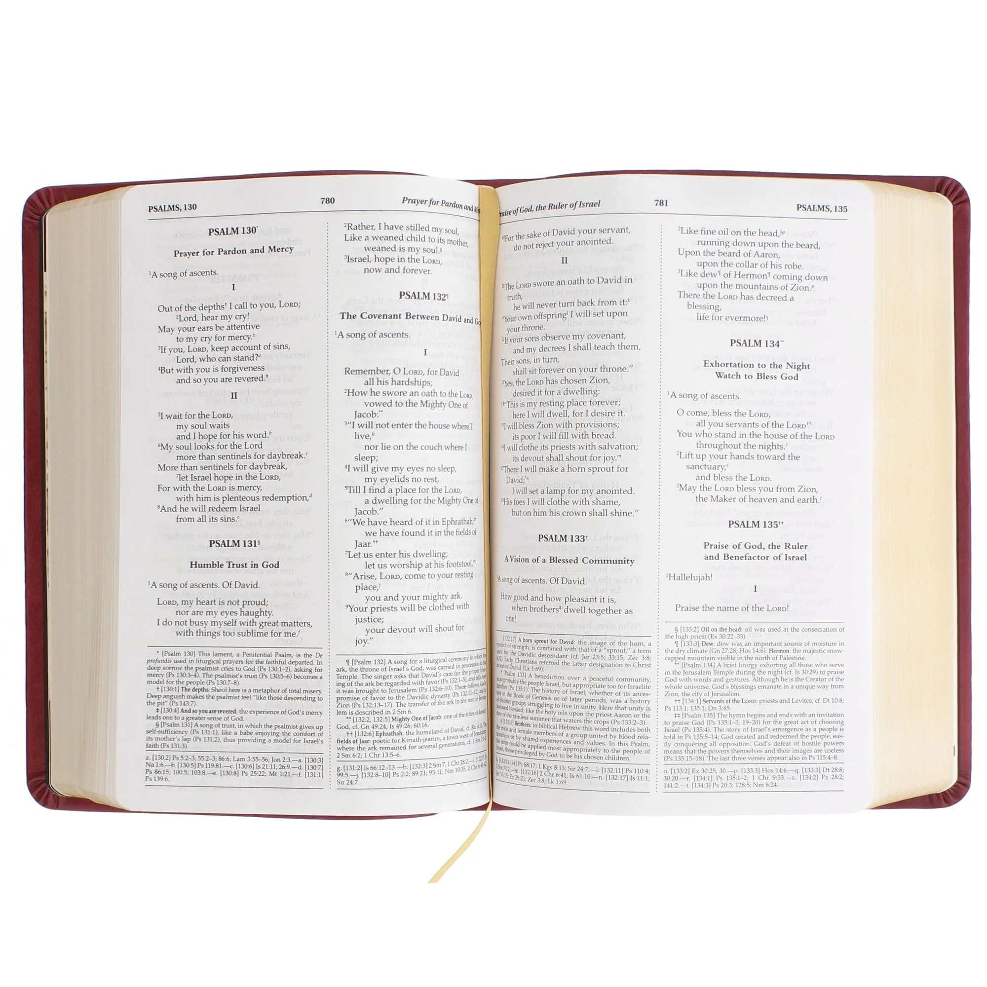 Madonna and Child Bible - Image 8