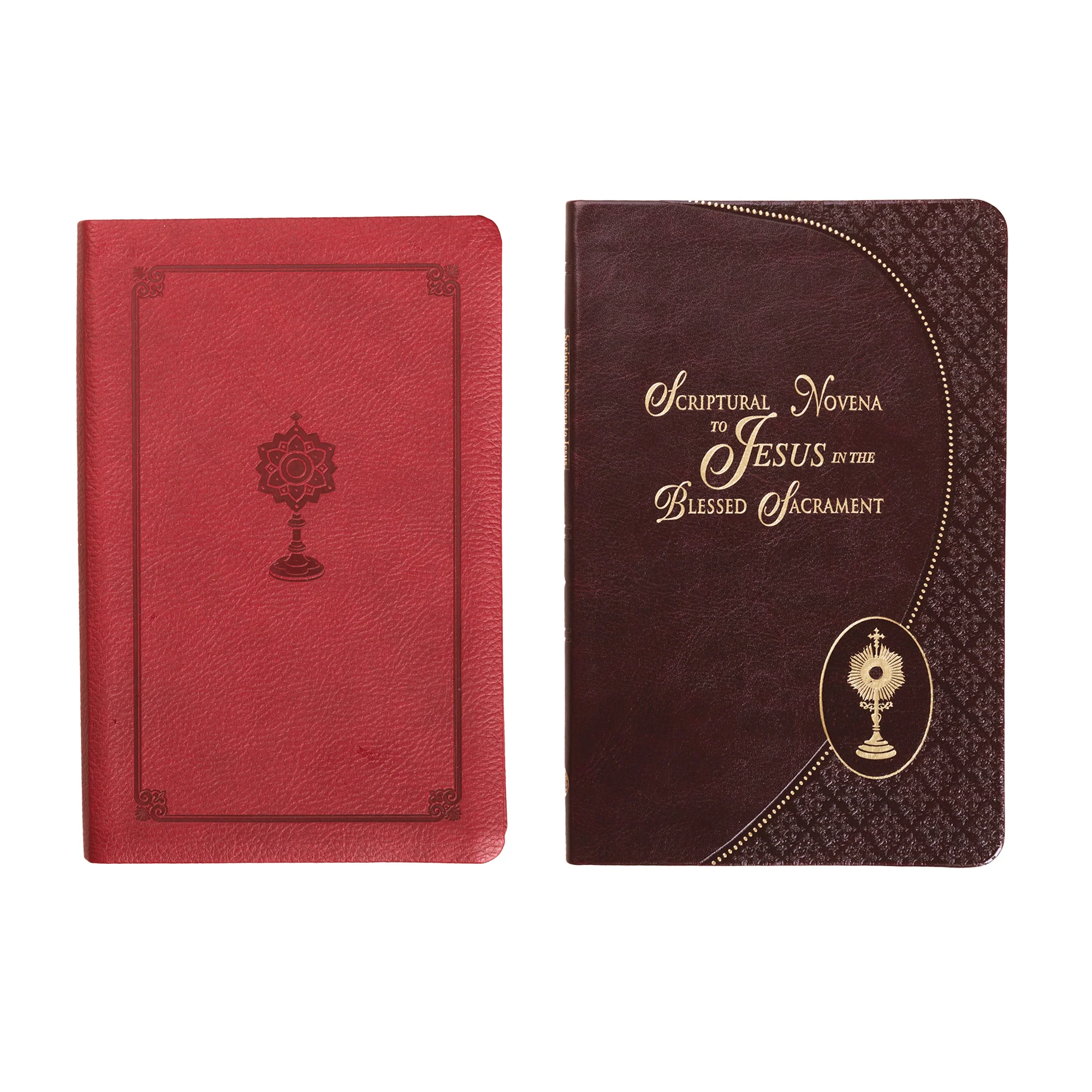 Manual for Eucharistic Adoration & Scriptural Novena to Jesus in the Blessed Sacrament (2 Book Set) - Image 2