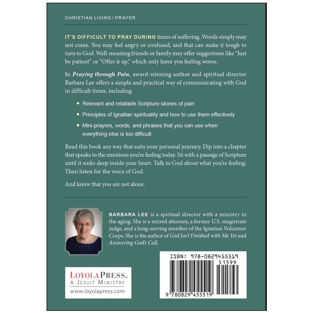 Praying Through Pain: A Scripture-Based Journey - Image 2