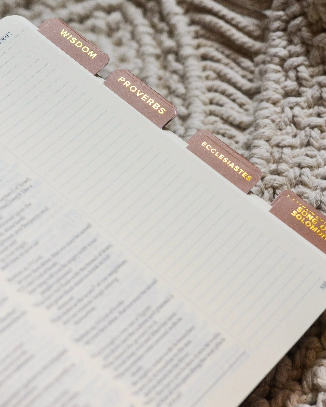 Salt of the Earth Catholic Bible Tabs - Image 8