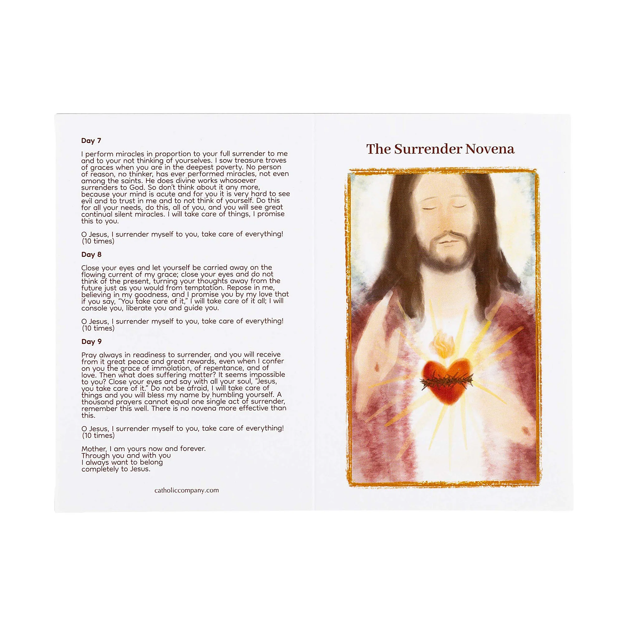 Surrender Novena Prayer Card - Image 4