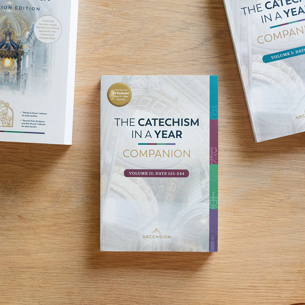 The Catechism in a Year Companion - Volume I or II - Image 12