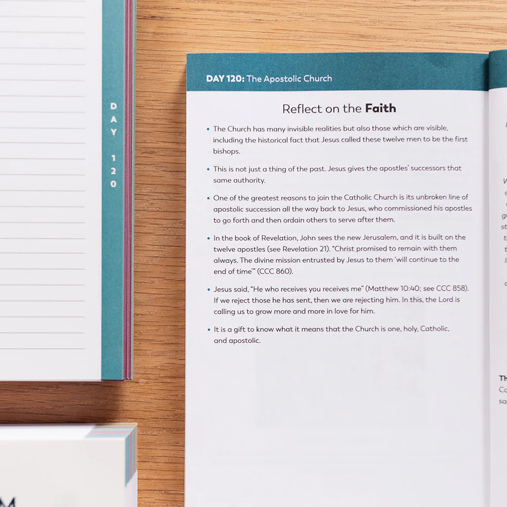 The Catechism in a Year Companion - Volume I or II - Image 3