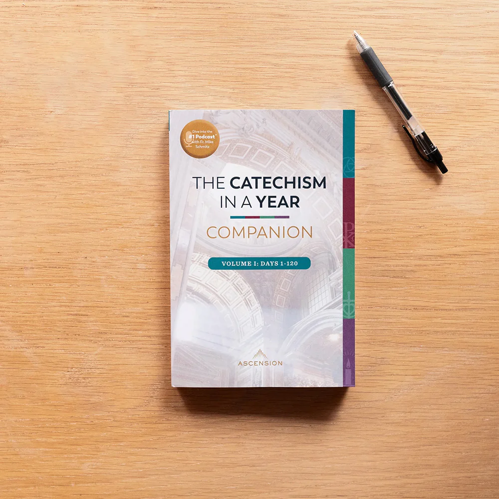 The Catechism in a Year Companion - Volume I or II - Image 7