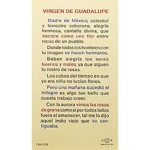 Virgen de Guadalupe, Madre (Our Lady of Guadalupe) - Spanish Prayer Card - Image 2