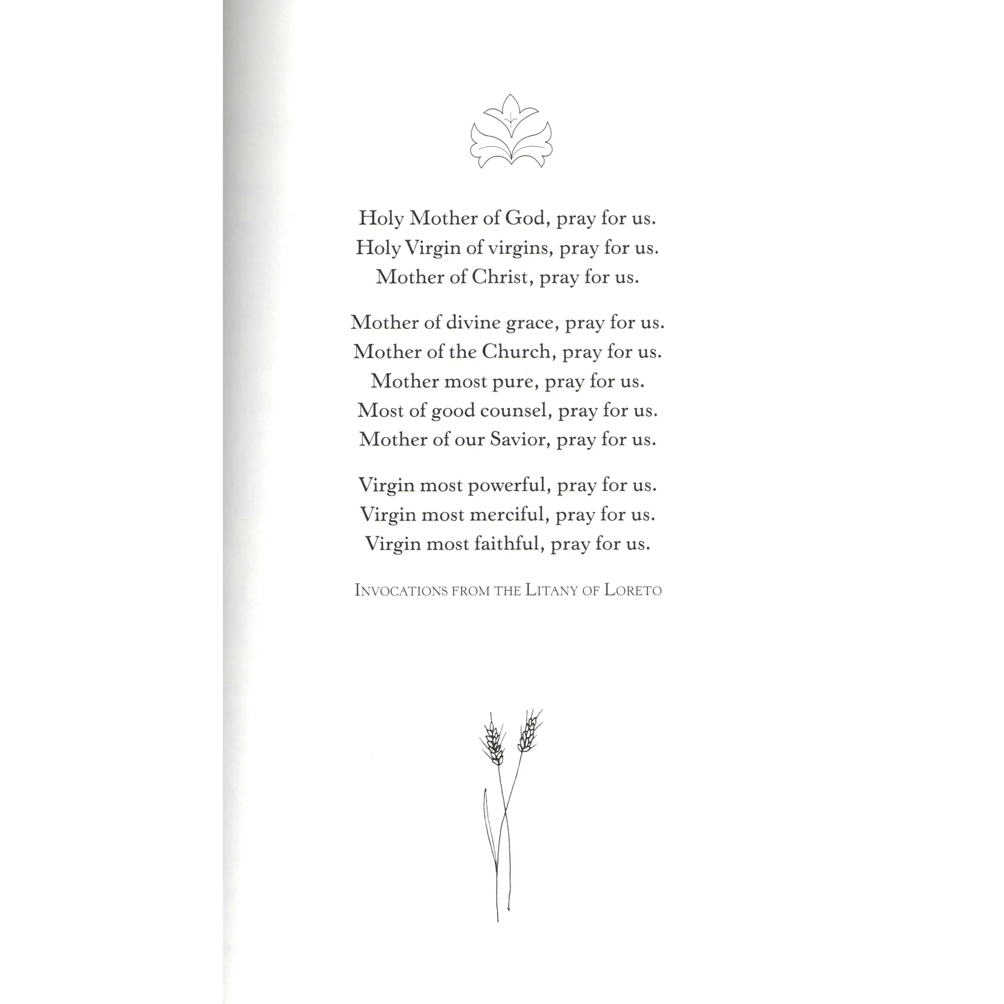 Windows Into Christ Coloring Book - Image 3
